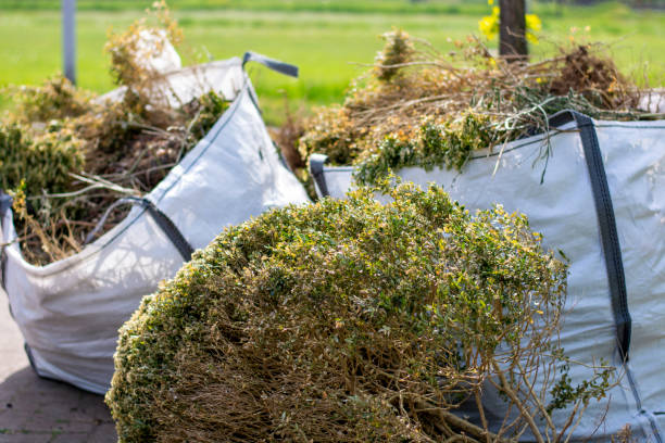 Best Hoarding Cleanup  in Layhill, MD